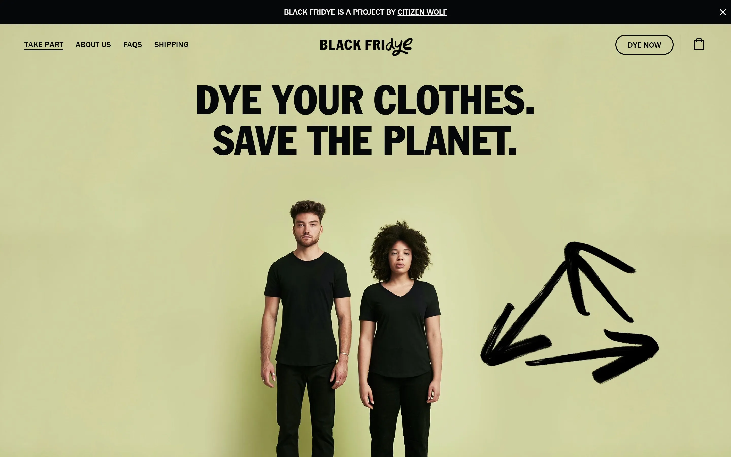 Home page of the Black Fridye website