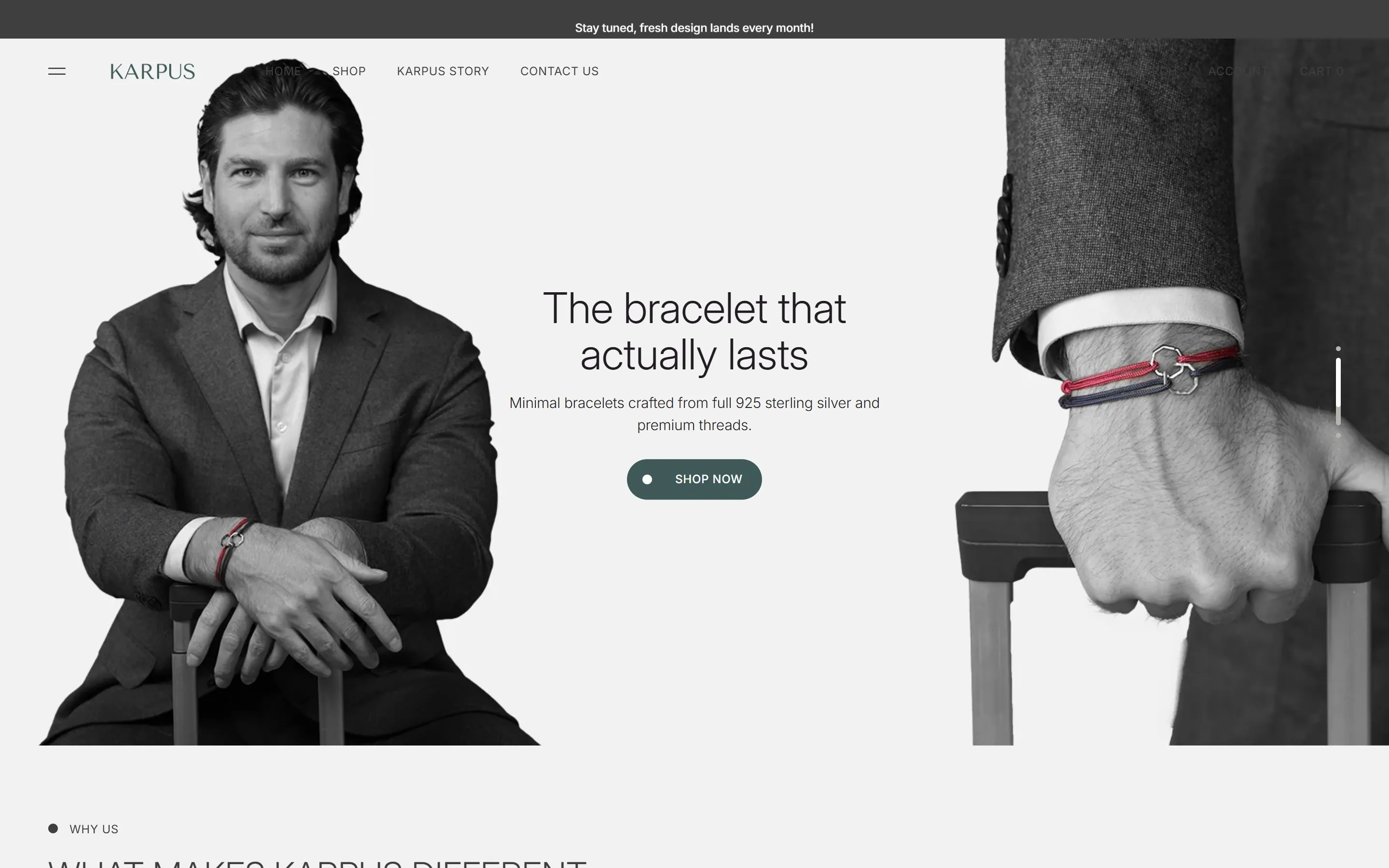 Home page of the Karpus online store